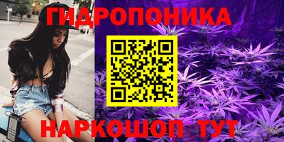 ALPHA PVP Пугачёв