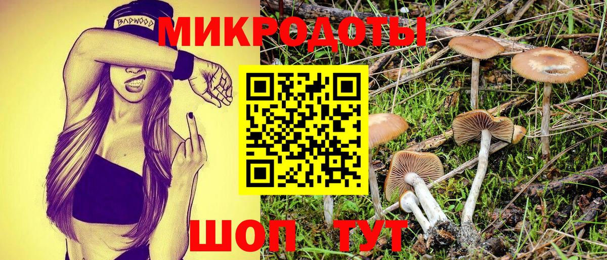 Псилоцибиновые грибы Cubensis  Галлюциногенные грибы прущие грибы  Пушкино  Вход с VPN 
